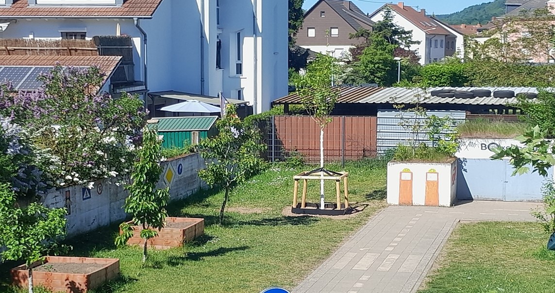 Vier neue Bäume wurden gepflanzt