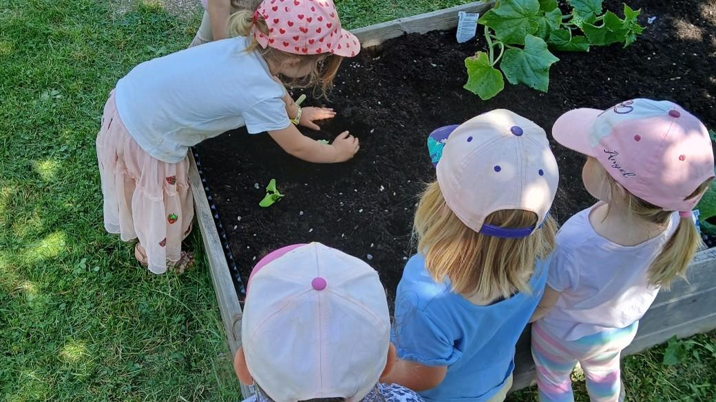 Die Kinder freuen sich auf ihre Ernte