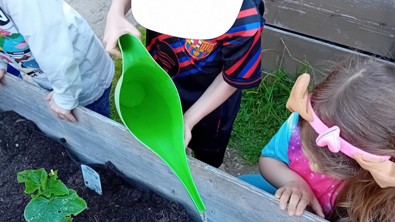 Die Kinder bepflanzten fleißig ihre neuen Hochbeete